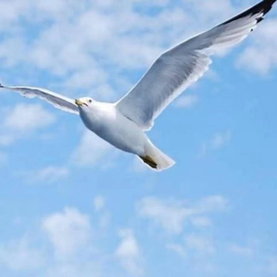 海欧