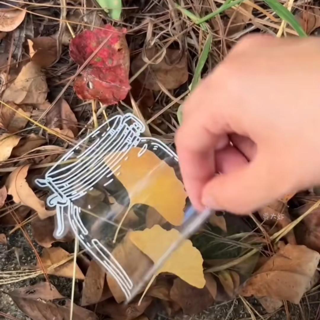 暴躁😇小仙女🎠