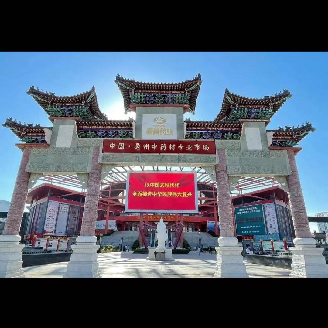 专注道地药材种植