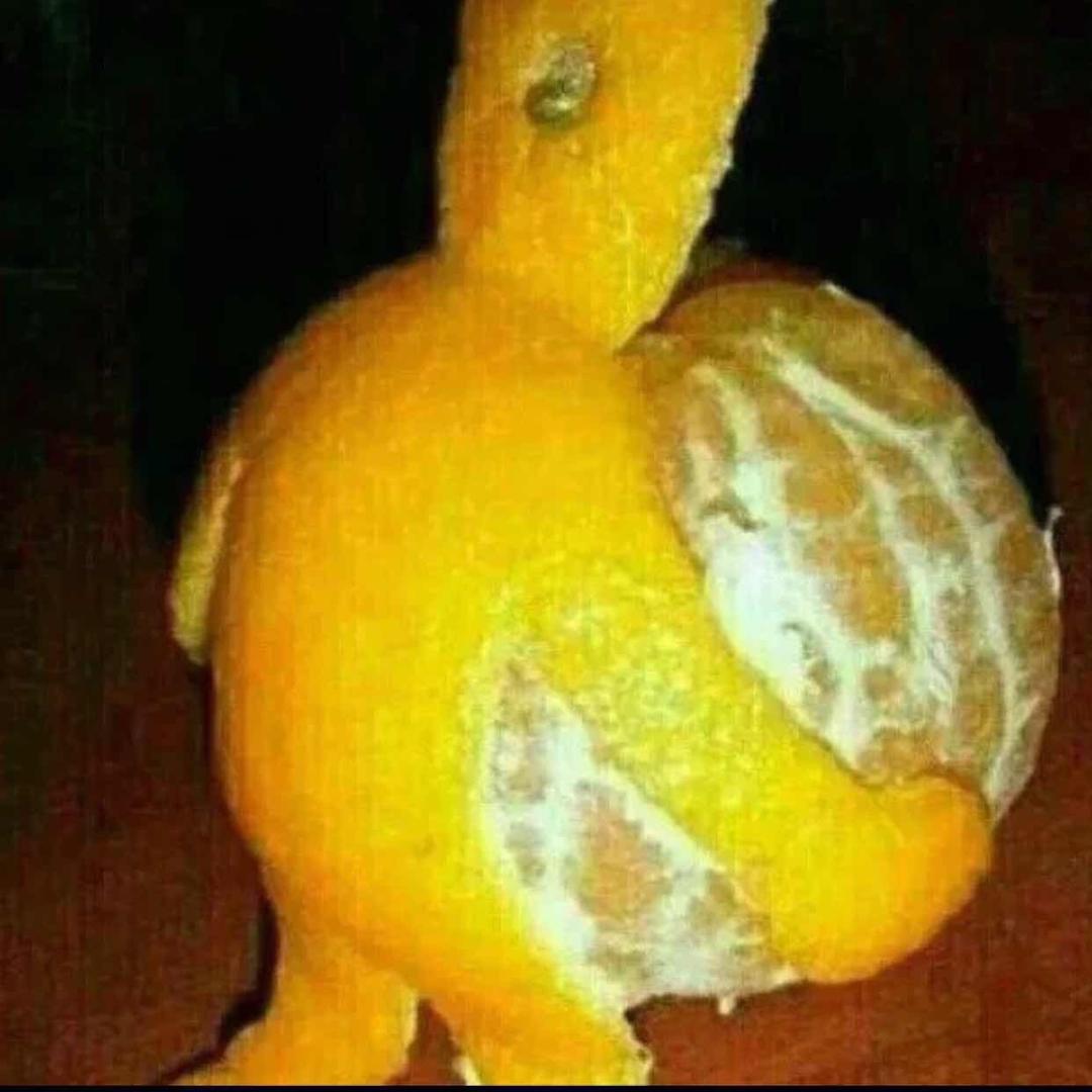 愤怒的小钢炮