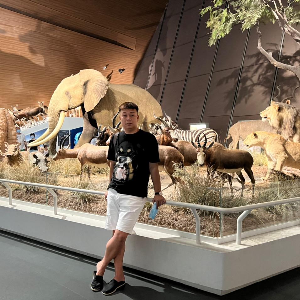 张帅。(进口颗粒)