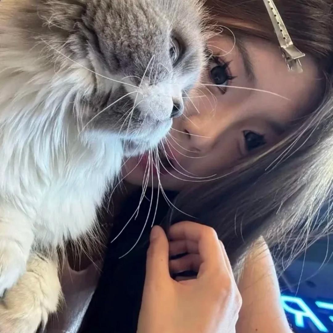 小孟欣.