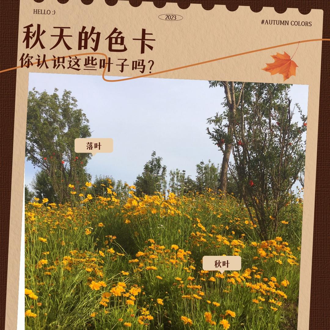 暖心(⁎⁍̴̛ᴗ⁍̴̛⁎)