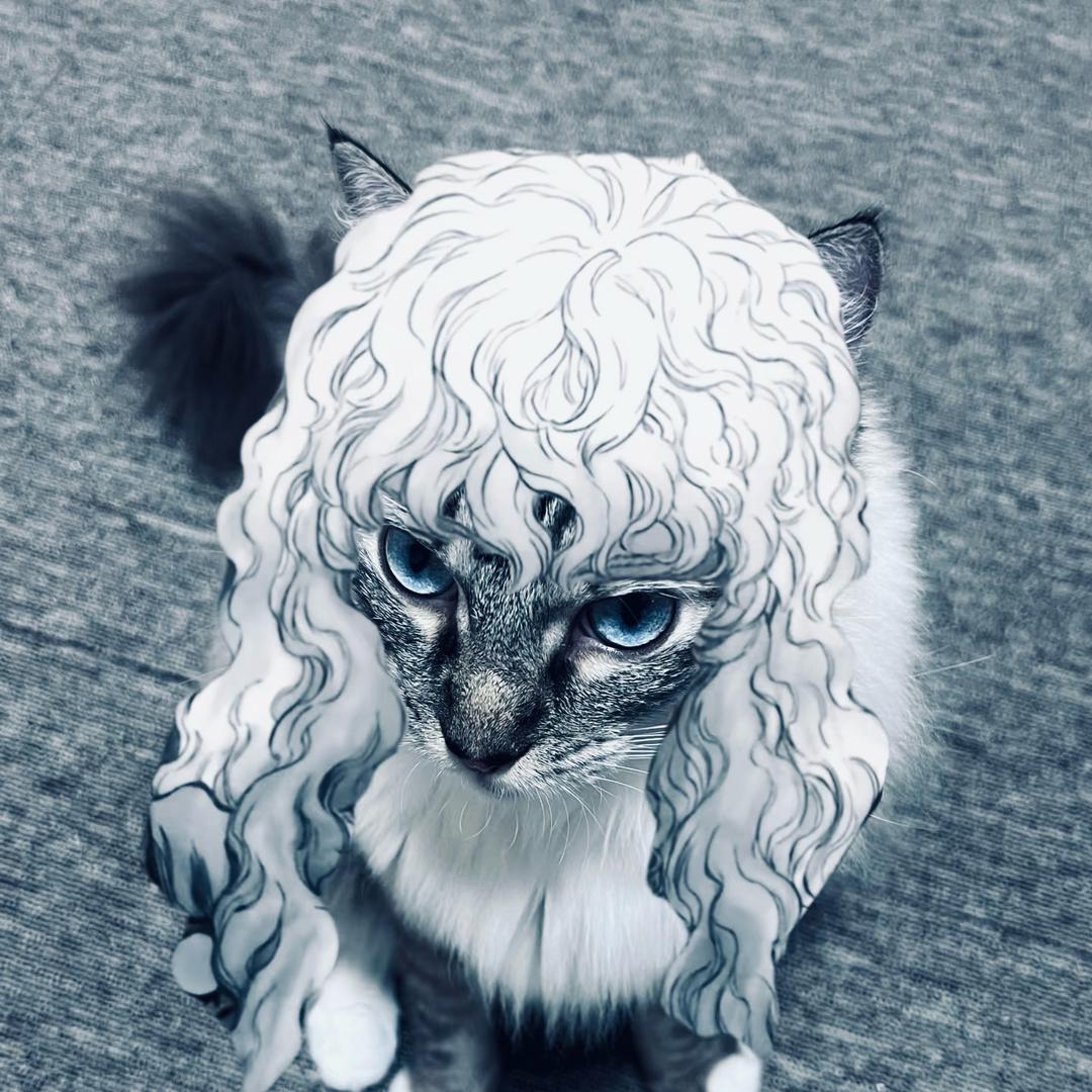 小红（南宁租房版）