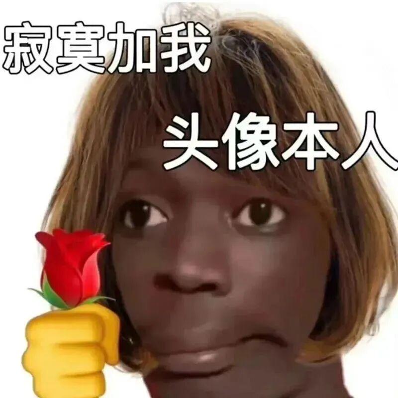 猪是念来过倒🐷