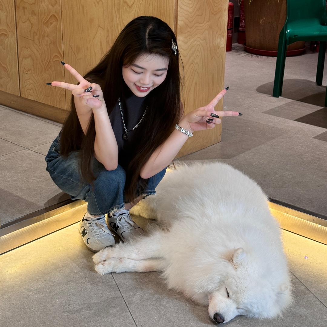 英语陈老师（仙游）