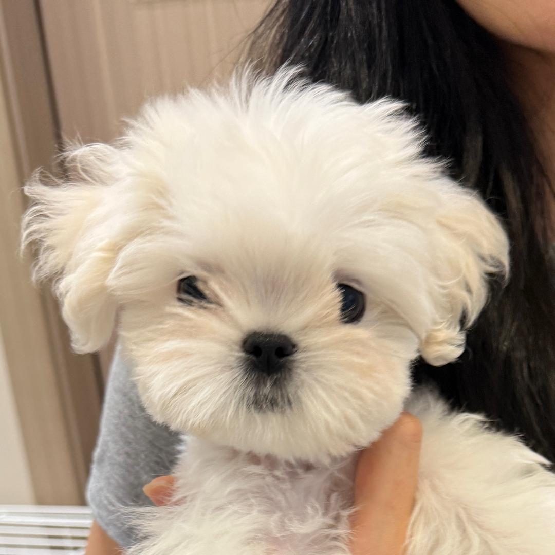 一天吃一顿