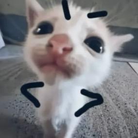 失联
