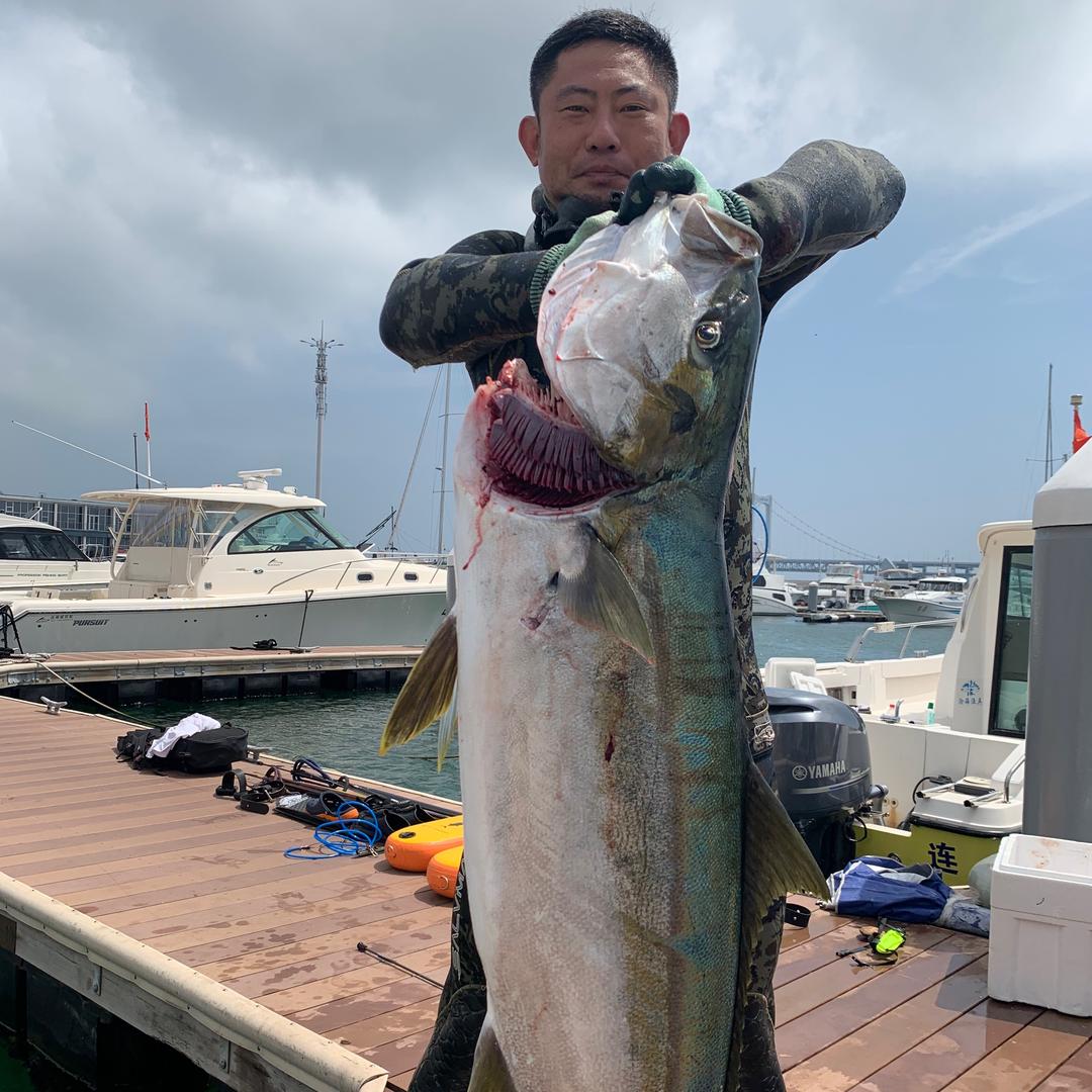 ⚓️高小贱🔱 大连自由潜水 大师级教练