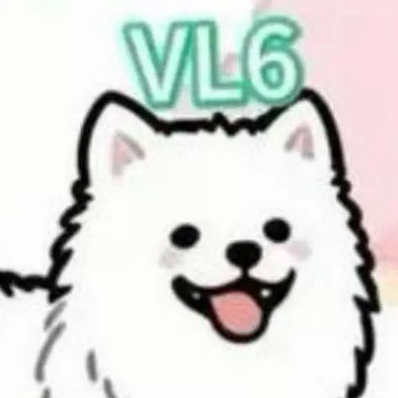 小狗VL6