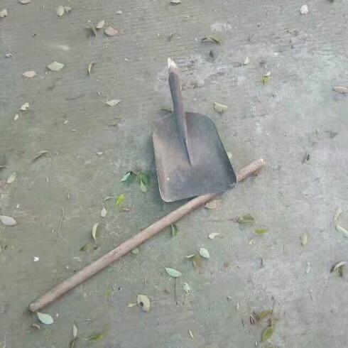 长沙铁锹哥