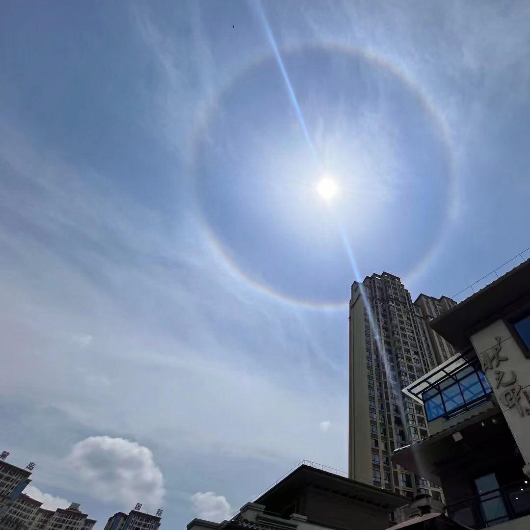 ❅❅❅❀❀❀……