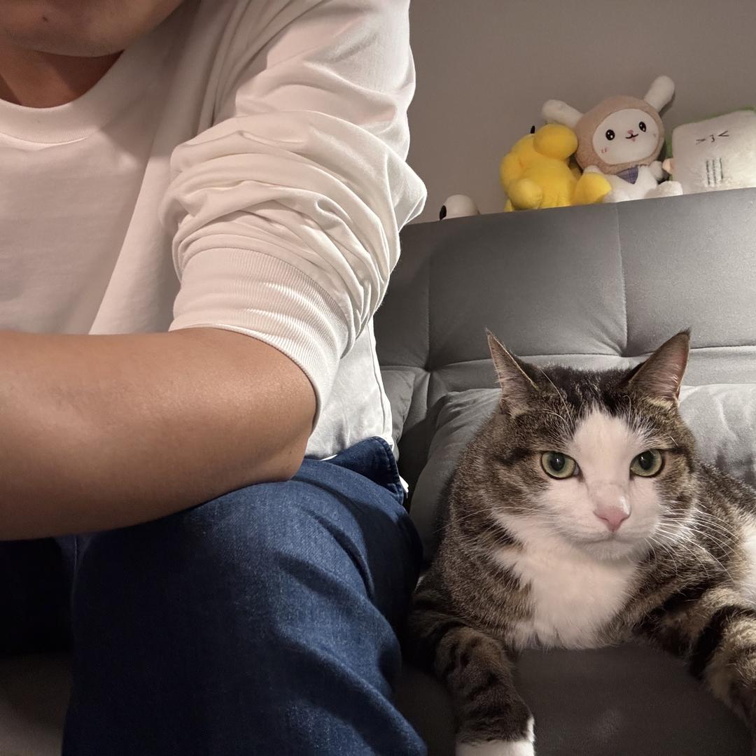 大飞的家纺小铺