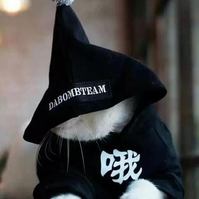 天 天 👑
