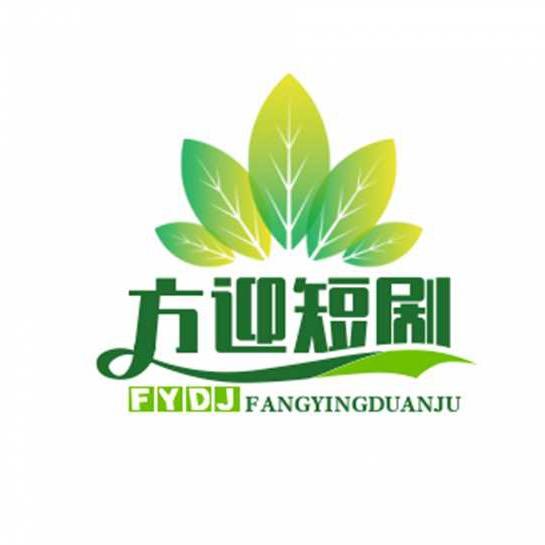 方迎影视