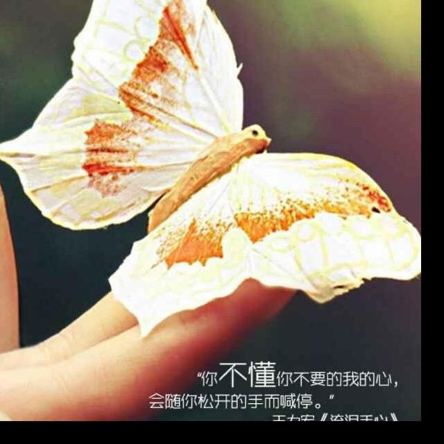 木子李 木子李
