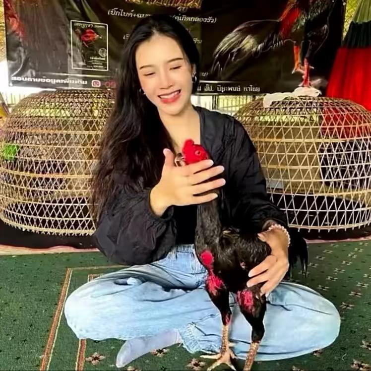 老猫战队：老三