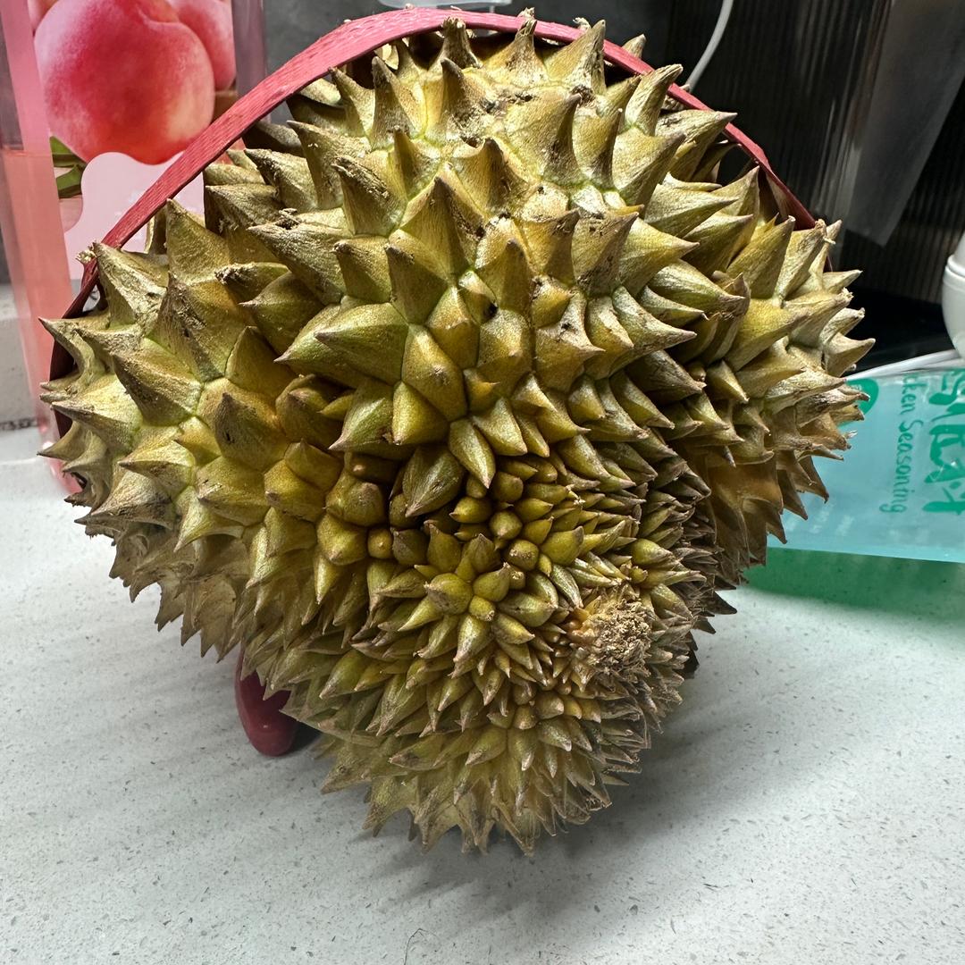 小粤