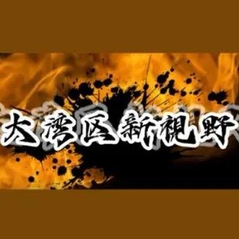 大湾区武术新视野