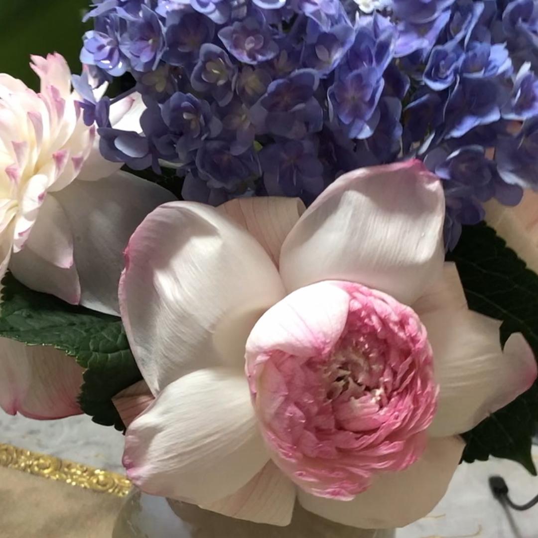 🍀陈陈欧尼超🈶️💰