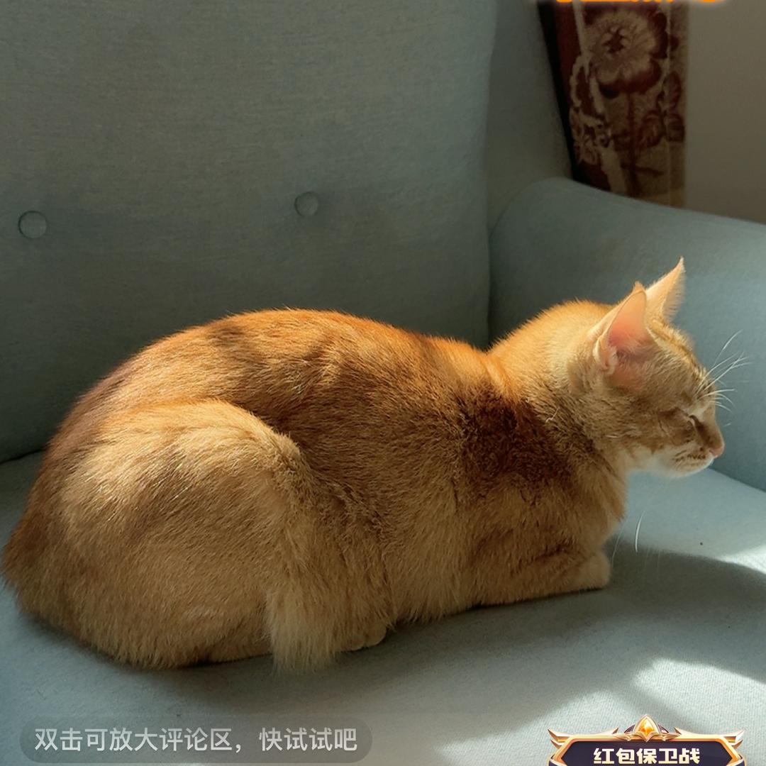 八千三