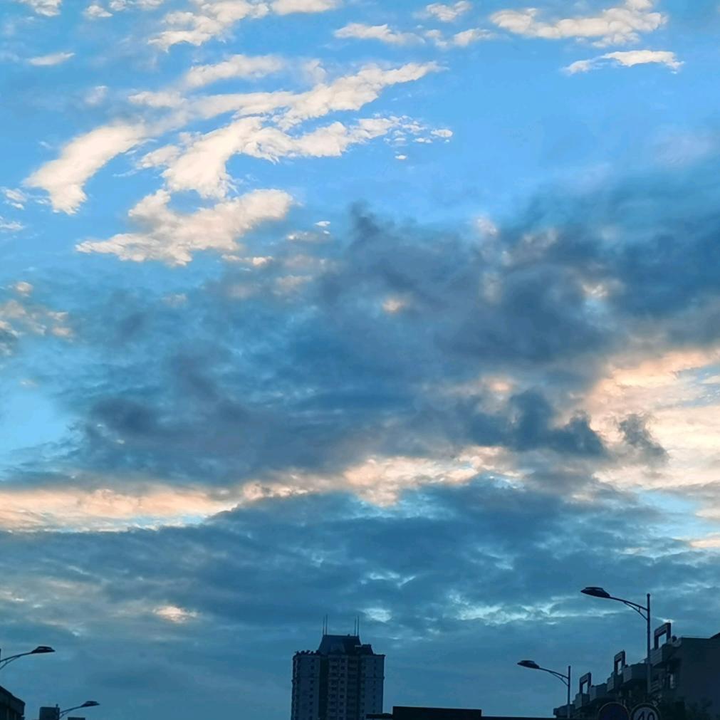 文不文武不武