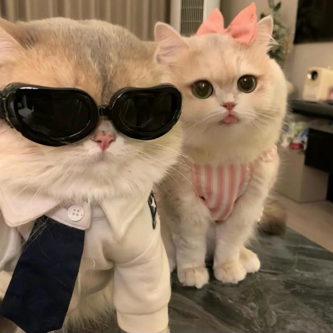 是张先生啊