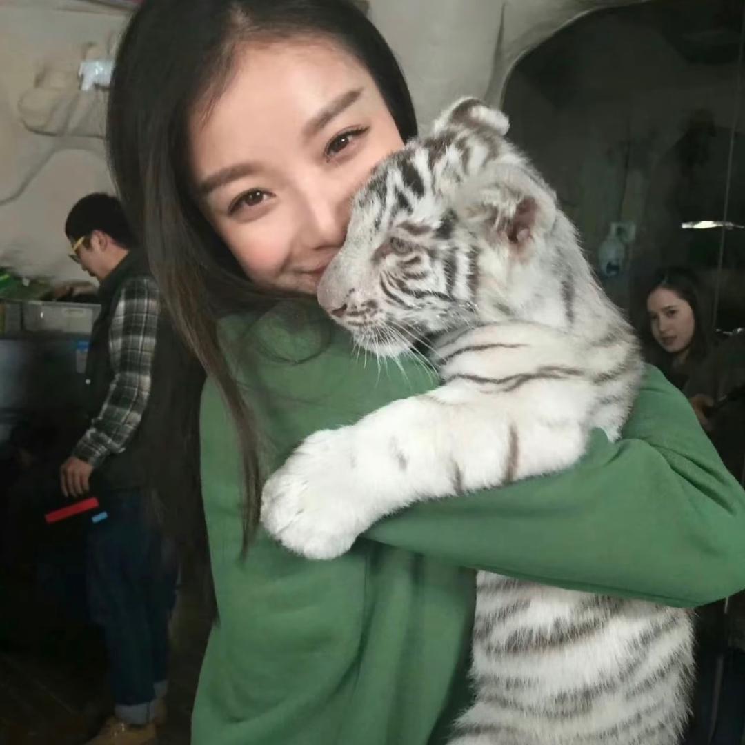 猫也不知道.
