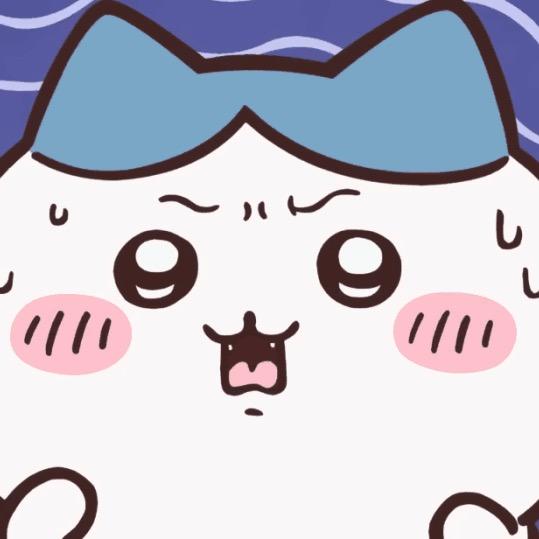 东东电竞考官oo