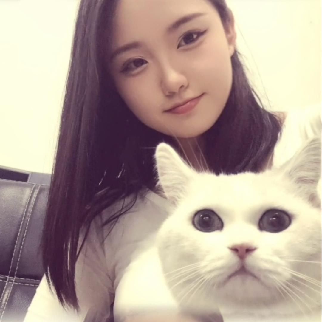 河南小敏