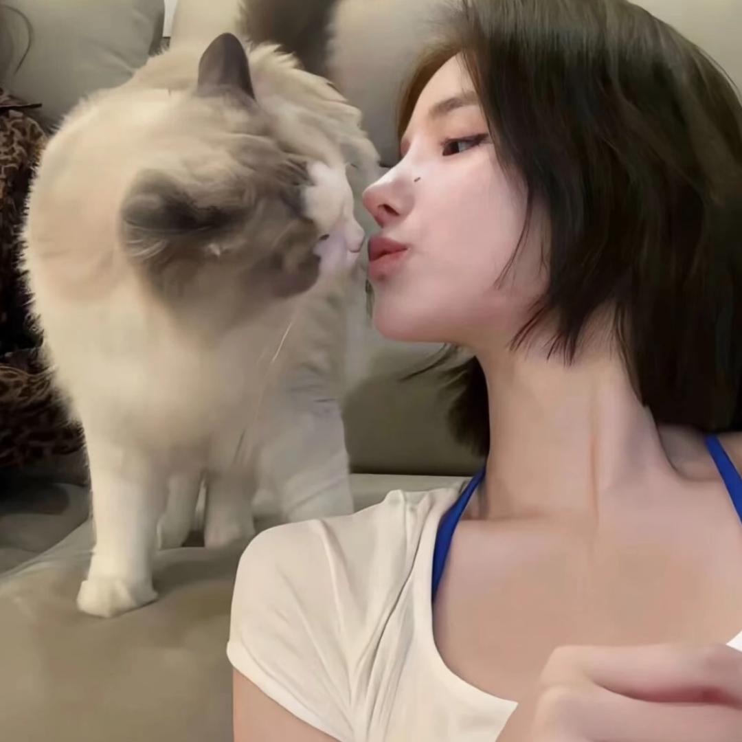 番茄崽崽