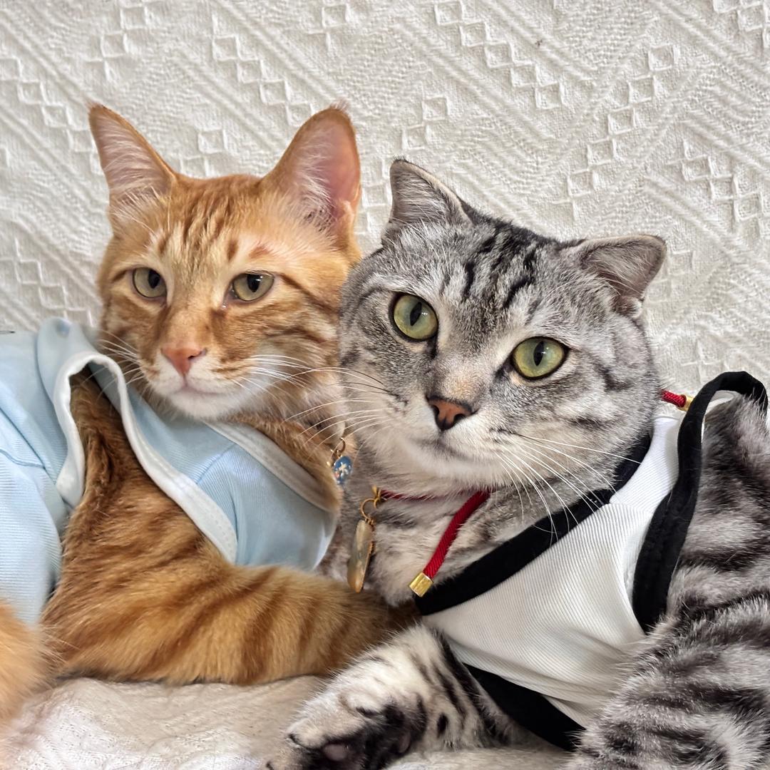 🌶️辣不🍮多