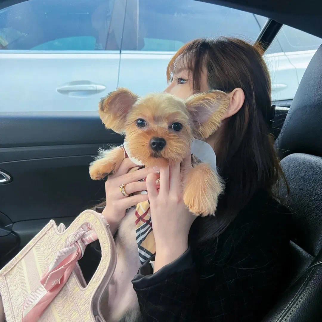 我要变漂亮（初来炸到）🍡