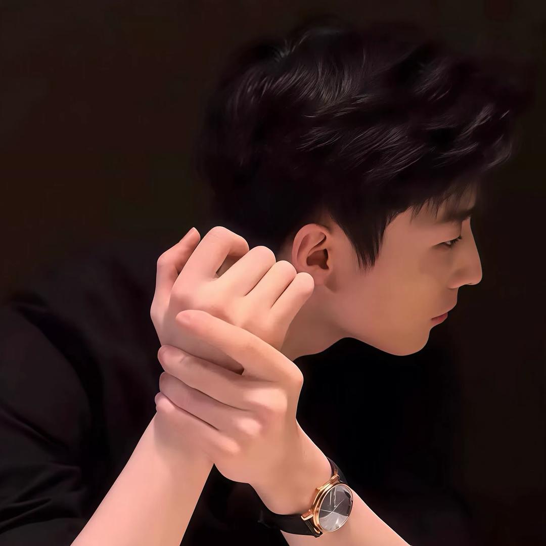 安徽第一鸽子侠