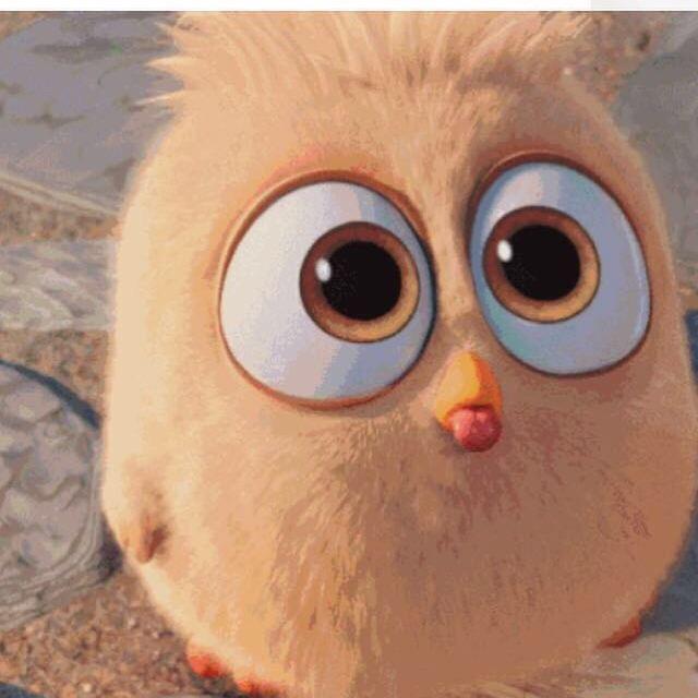 小企鹅🧸