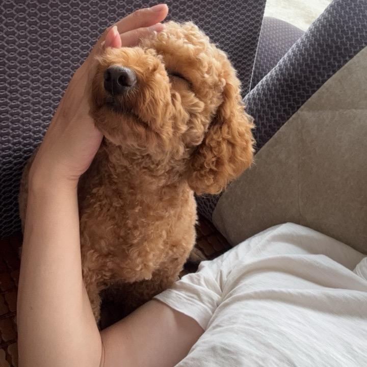 阿伟
