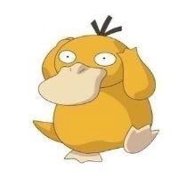 真兽兽
