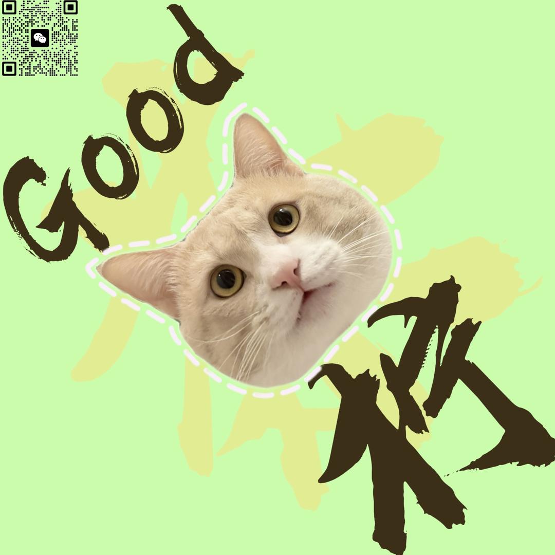 横琴Good猫柠