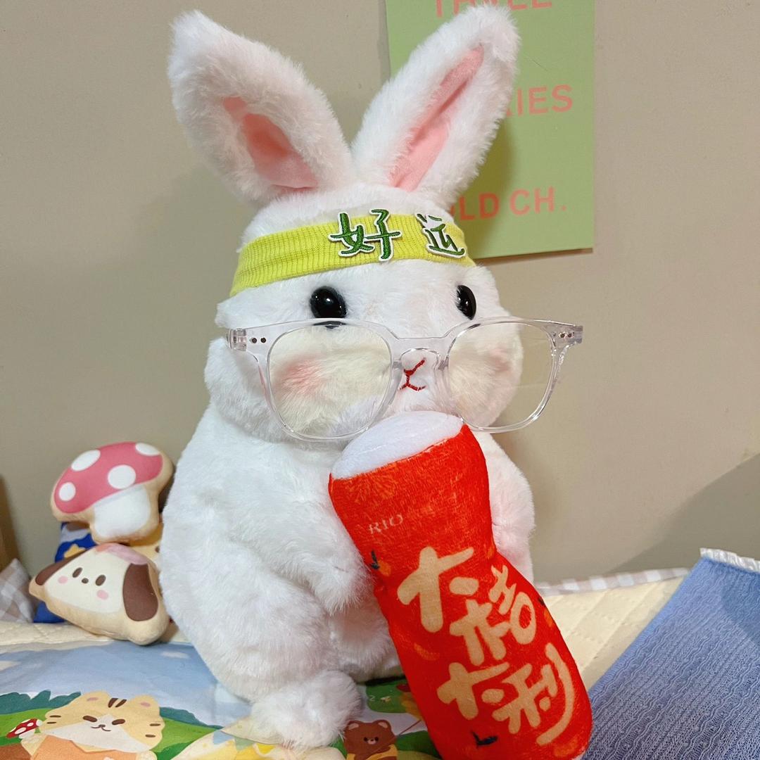 小柚子吖