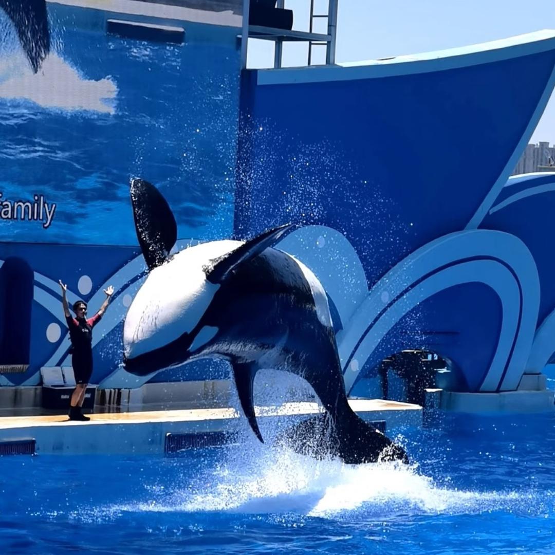 上海海昌海洋公园