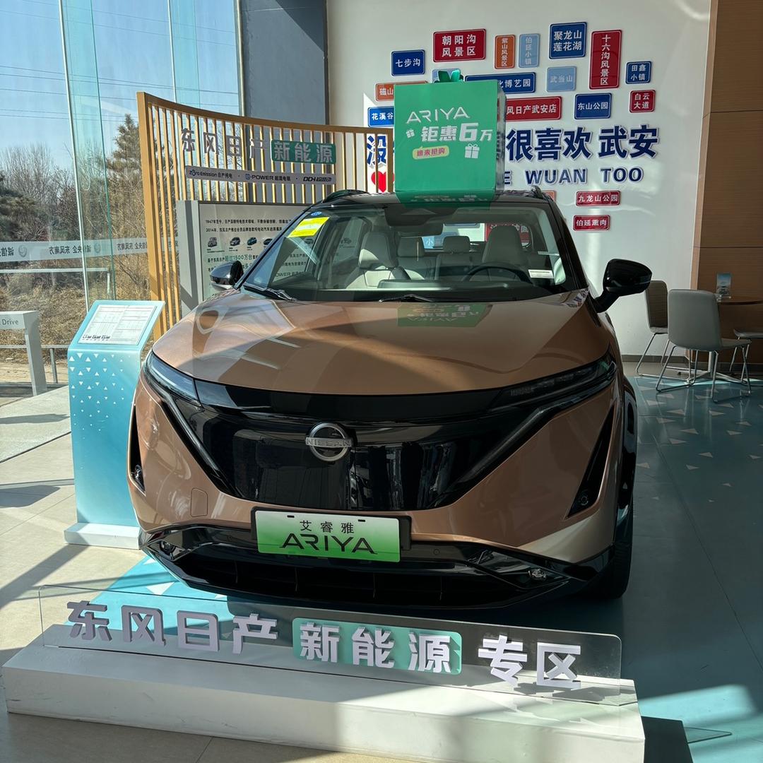 武安东风日产-艾睿雅