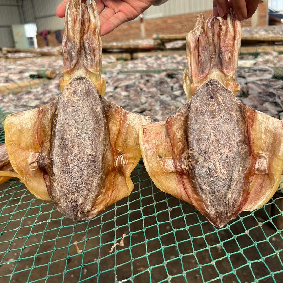 北海鱿鱼干