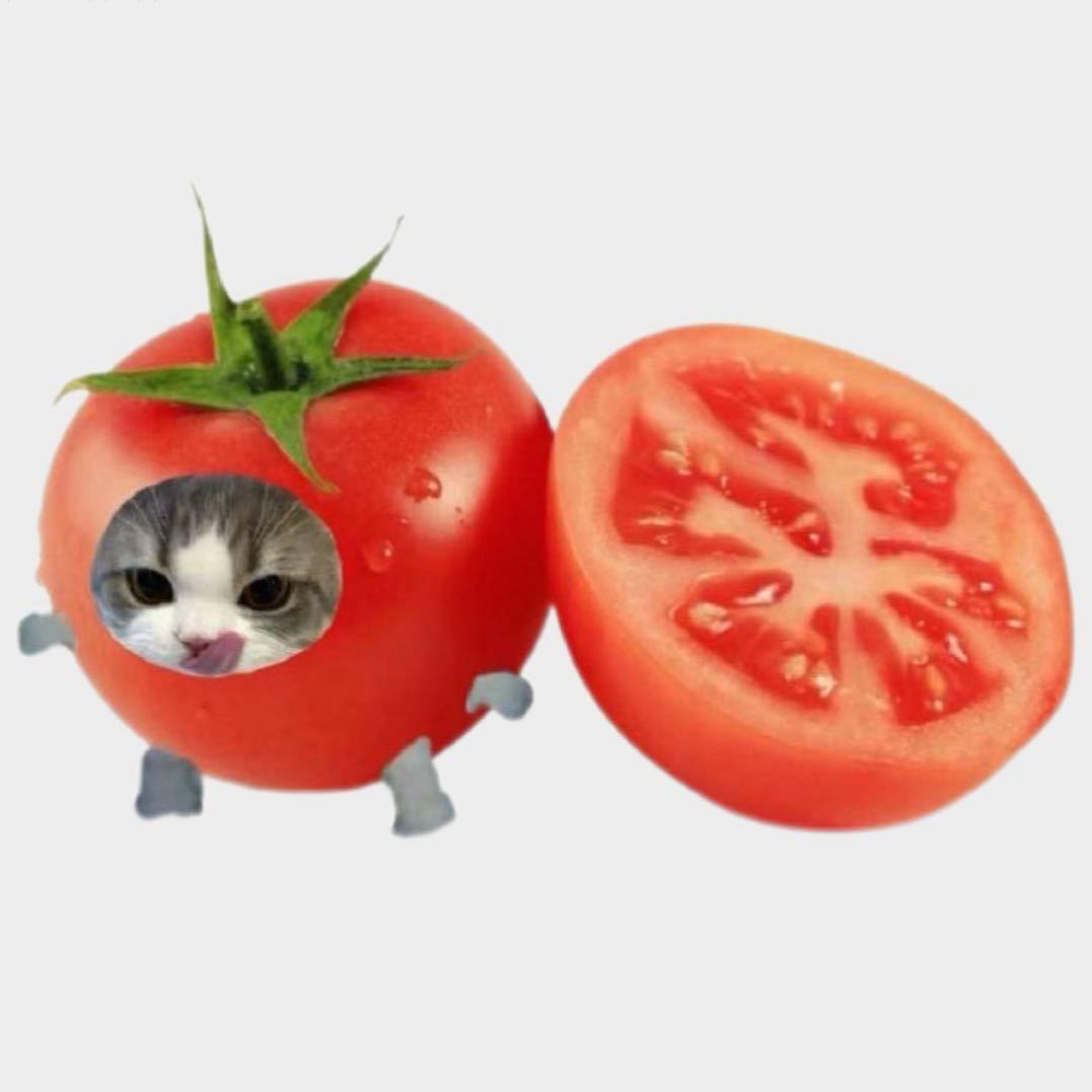 🍅🥫