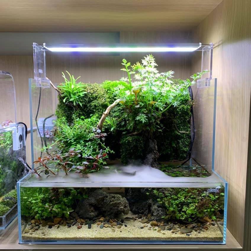 水世界水族馆