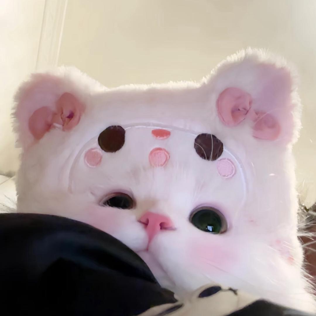 Mechi0