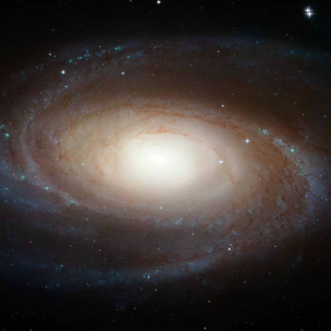 科学宇宙（锋轮）@抖音