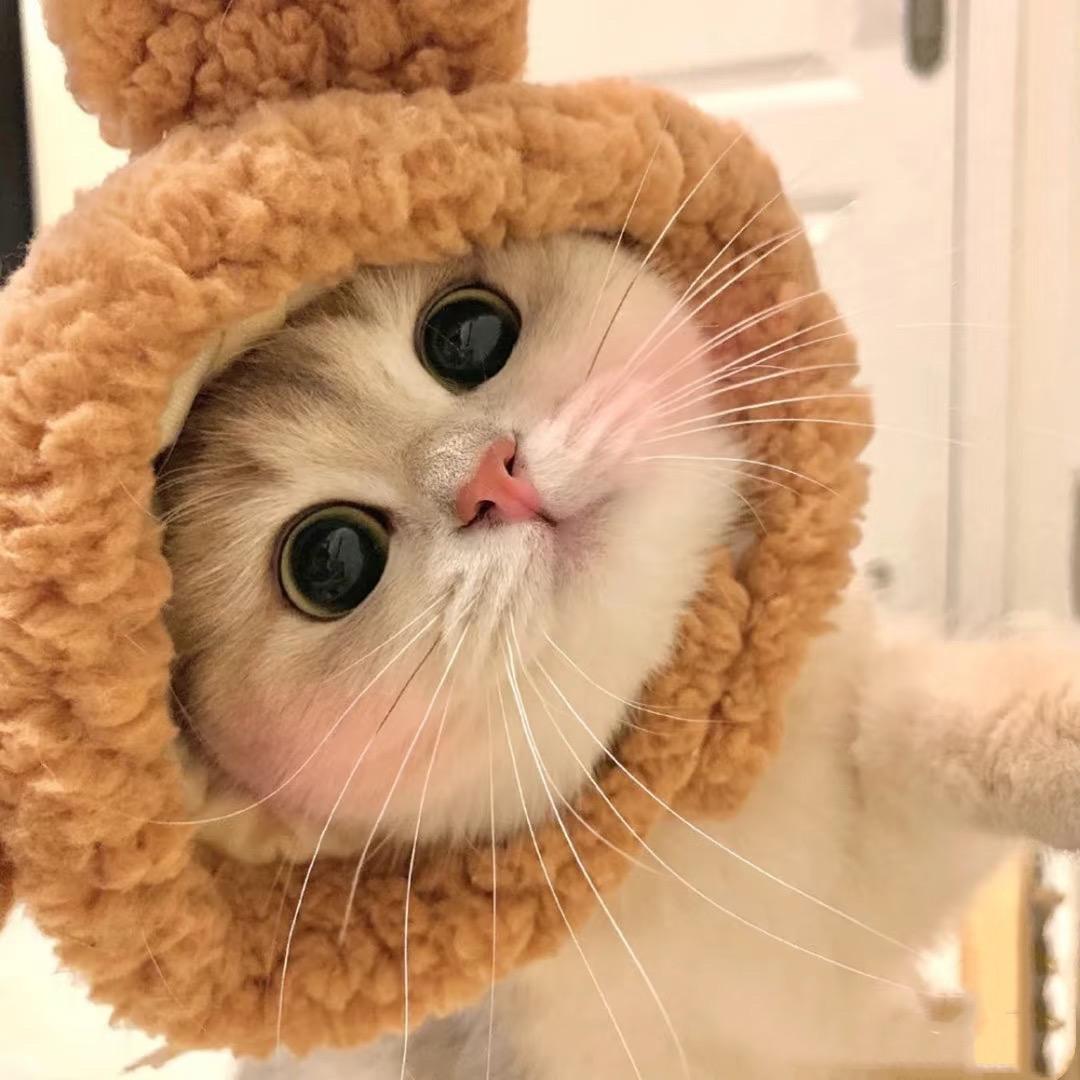 眠᳐眠᳐੭ﾞ