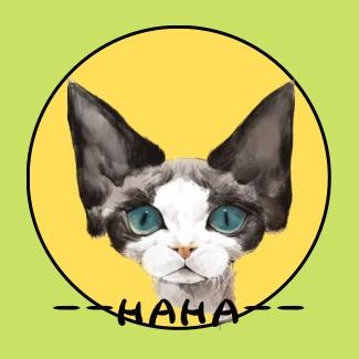 哈哈家的德文猫