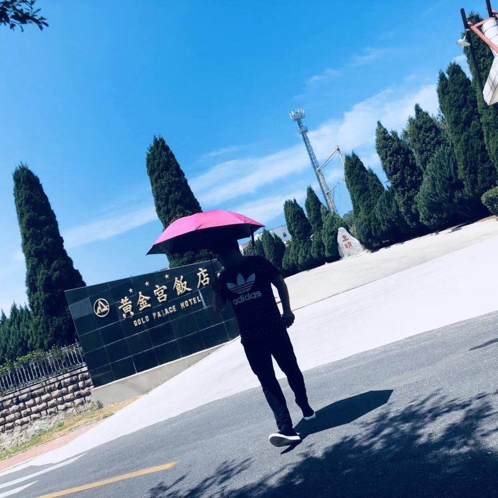 奕奕