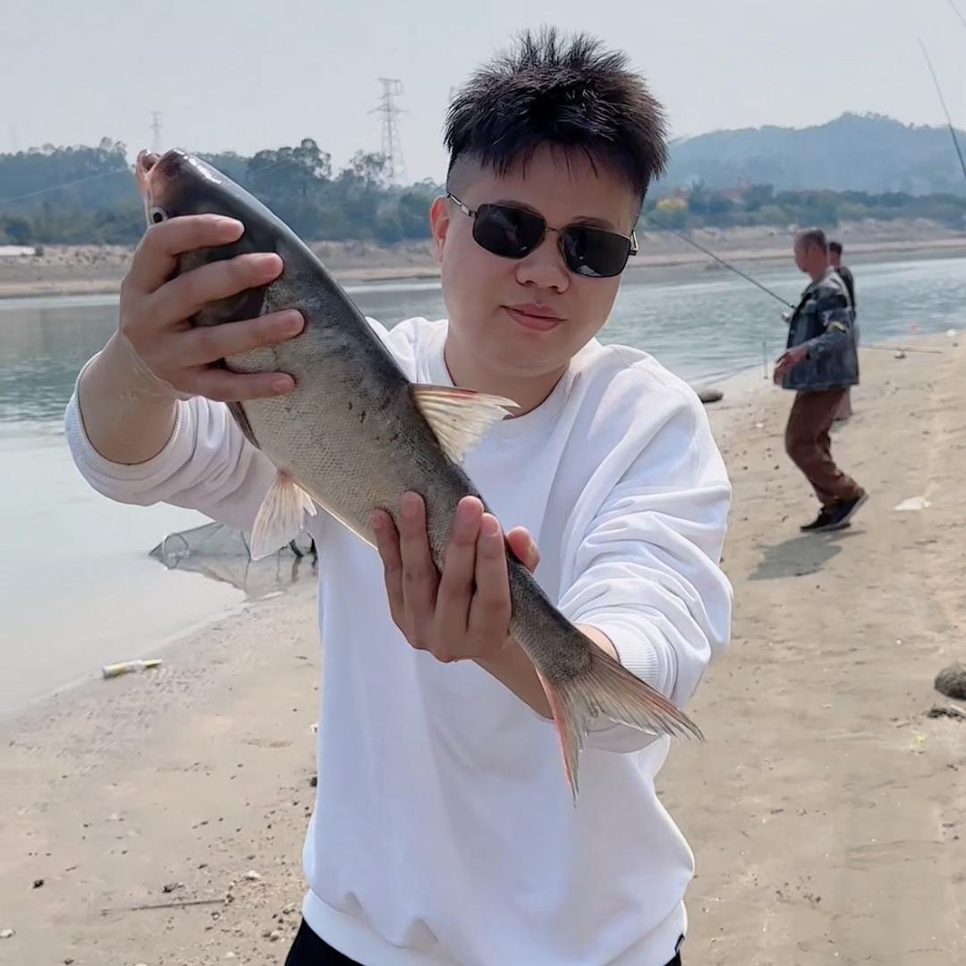 无敌嘴哥